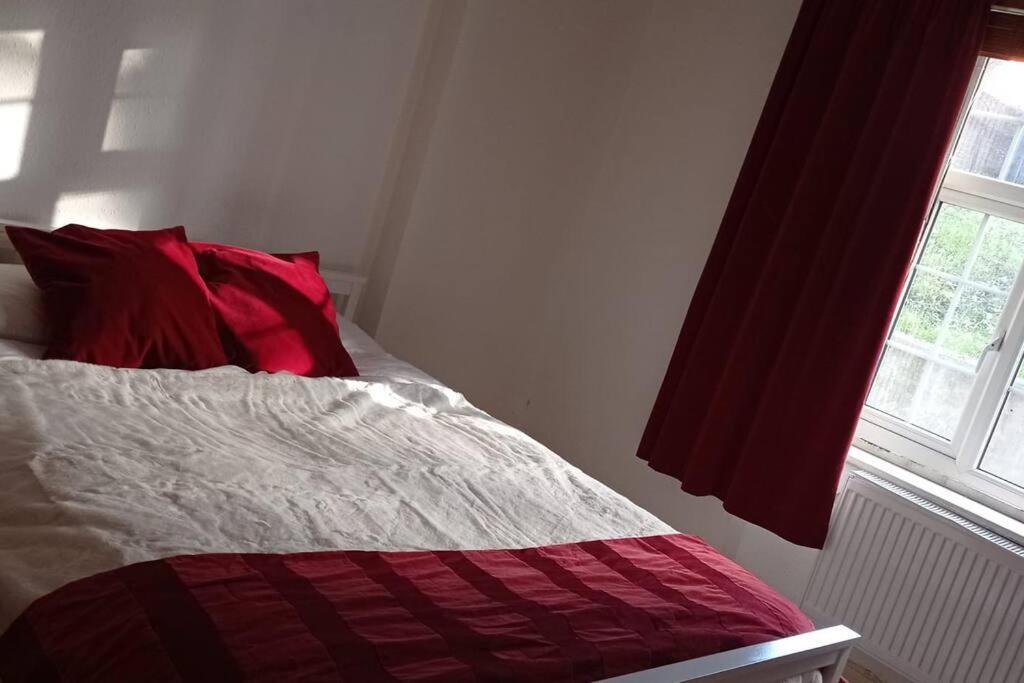 Sunny And Spacious Flat In Nw3 London Eksteriør bilde